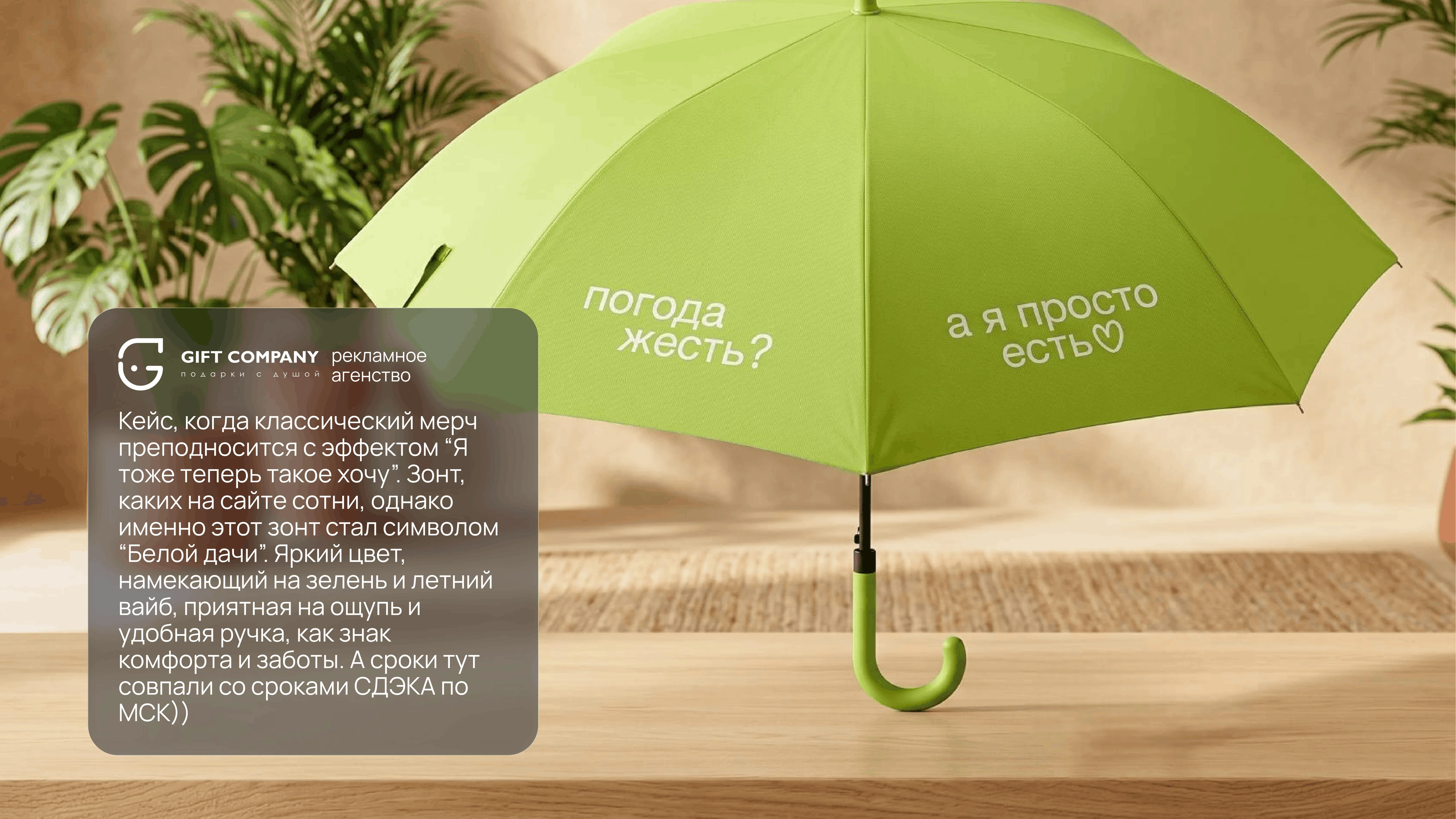 Портфолио 15